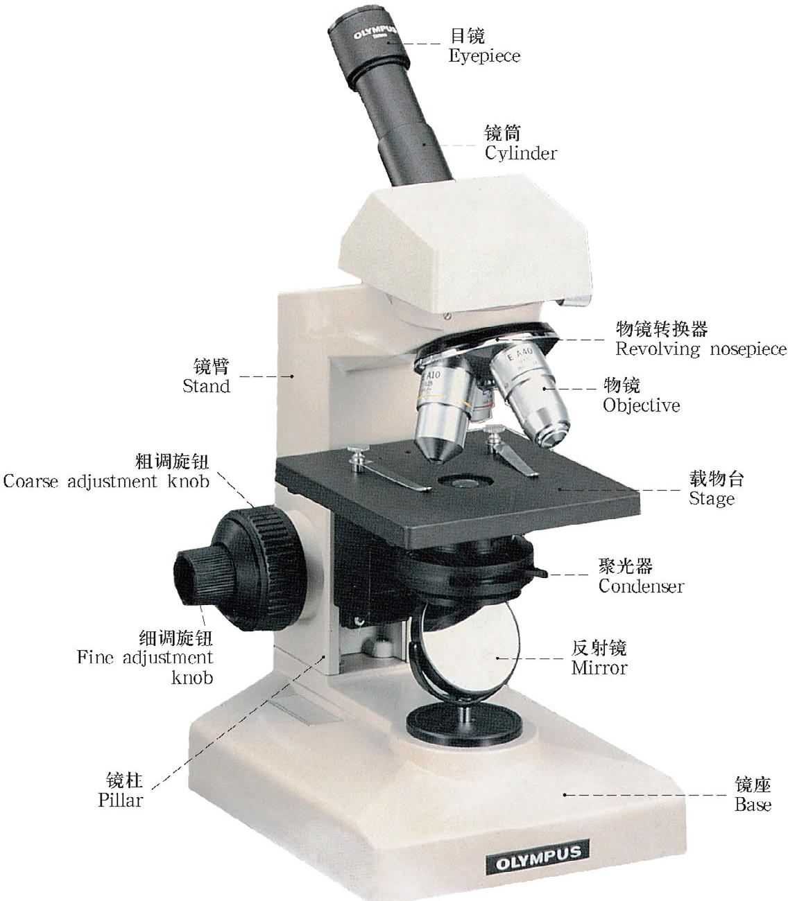 单筒型显微镜